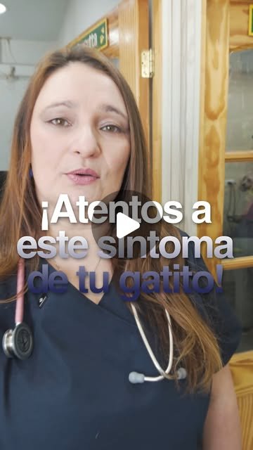 Portada Reel 03
